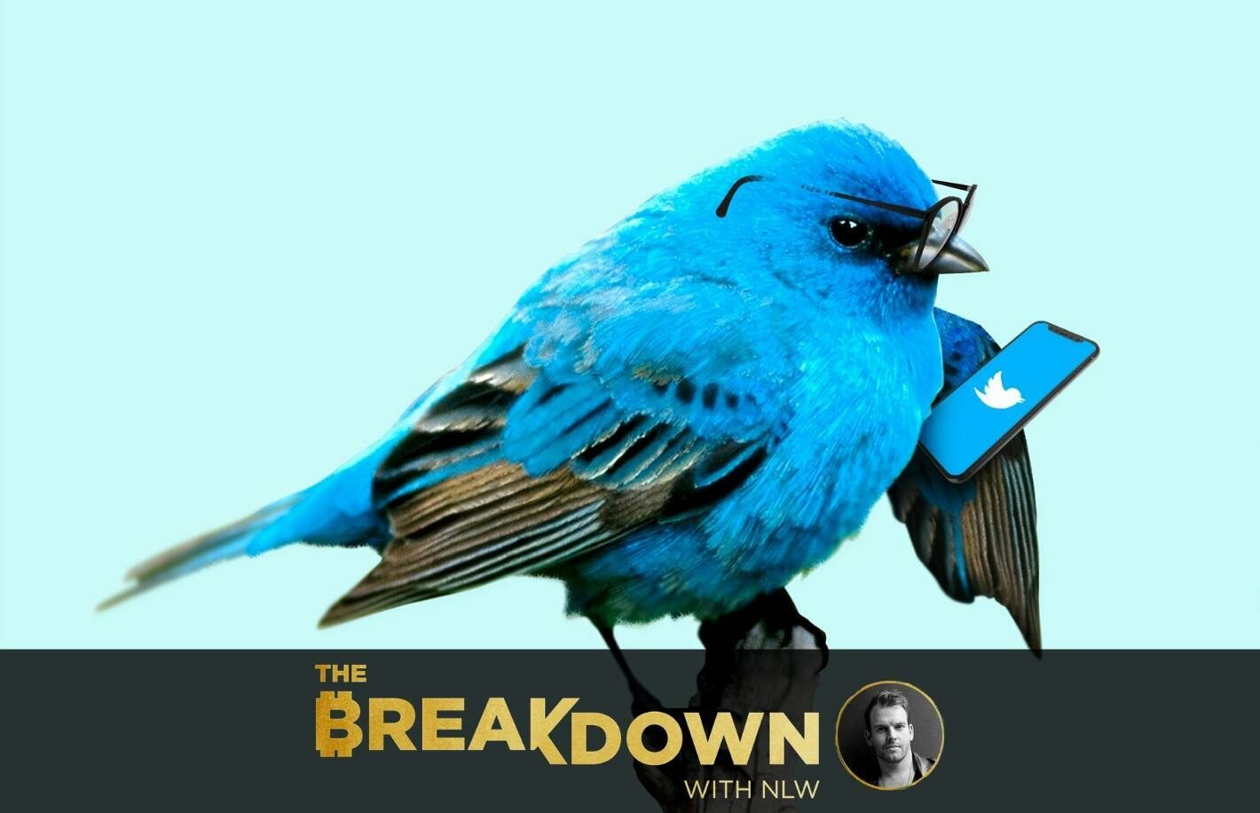 breakdown-7-9-2432629