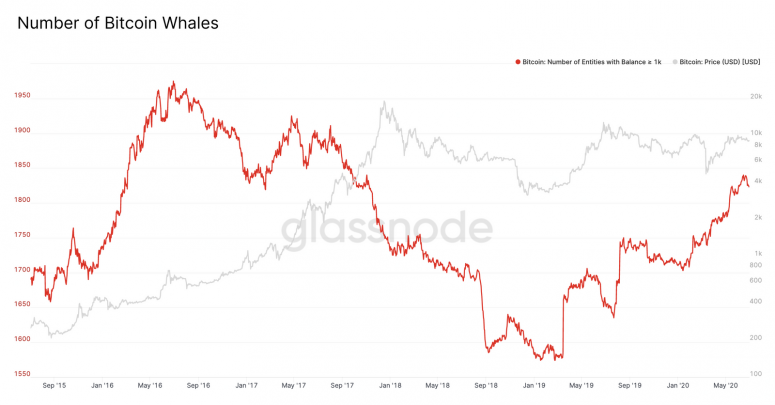 number-of-whales-glassnode-775x405-8507721